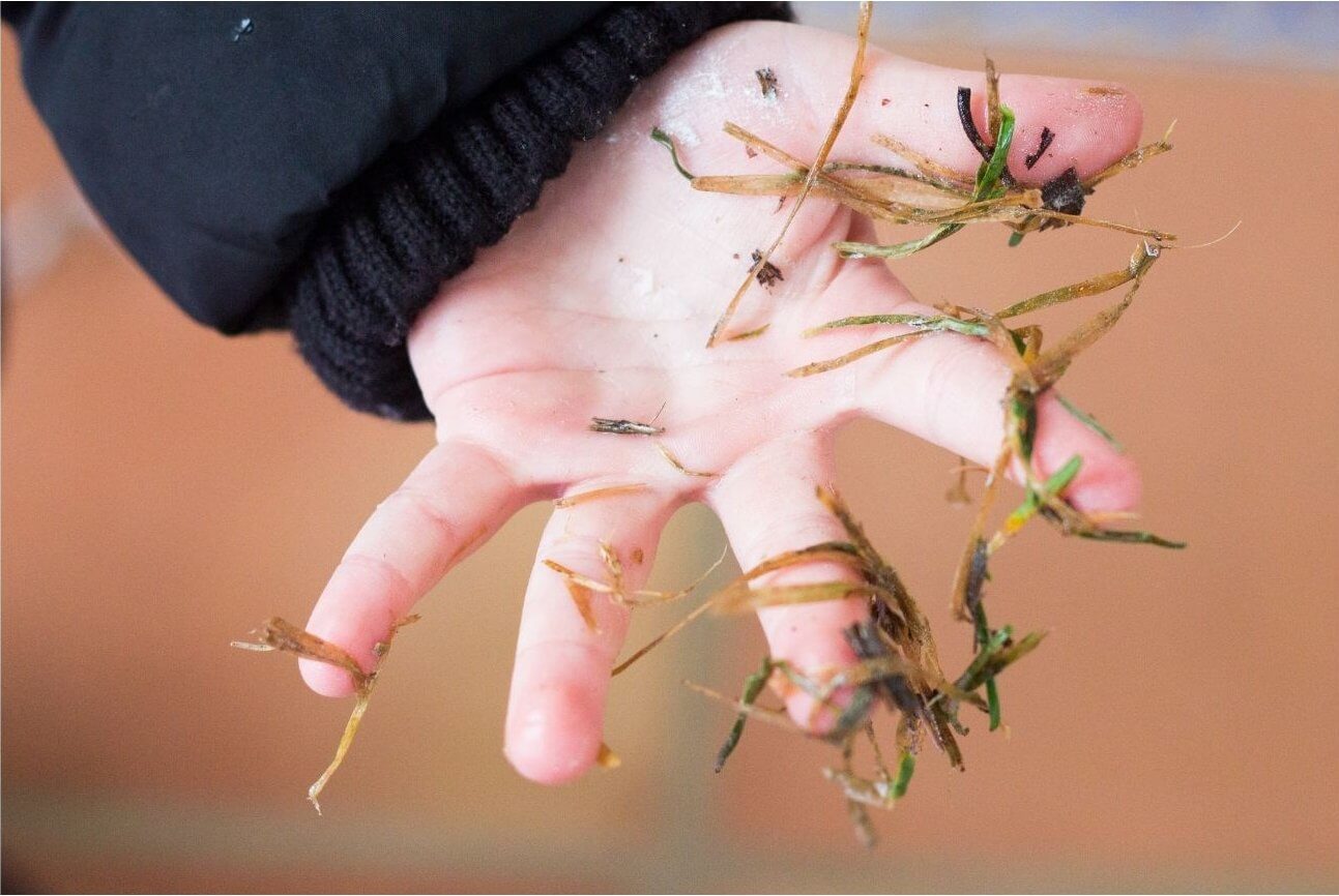 Mała motoryka-isani handmade- eka chłopca
